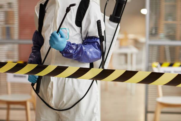 Professional Biohazard Cleanup technician working in Morristown, AZ